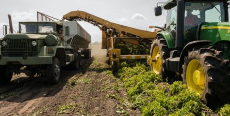 Nova lei fortalece o seguro rural e amplia instrumentos de gestão de riscos no agronegócio