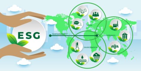 Allianz Brasil apresenta Relatório de Sustentabilidade marcado por transformação cultural e avanços na agenda ESG