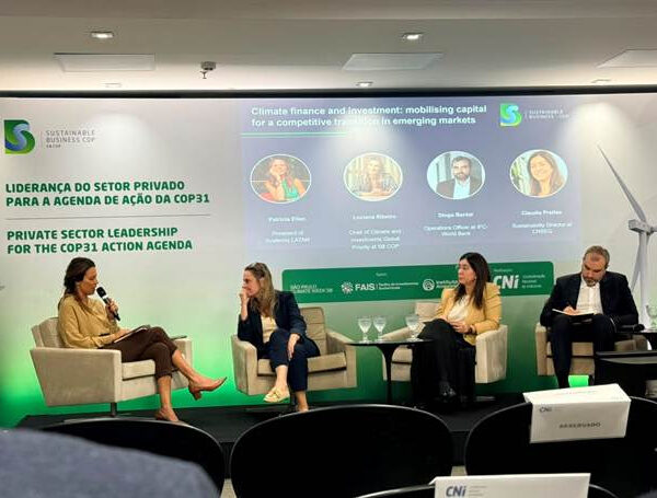 Seguro ganha espaço na estruturação de investimentos climáticos